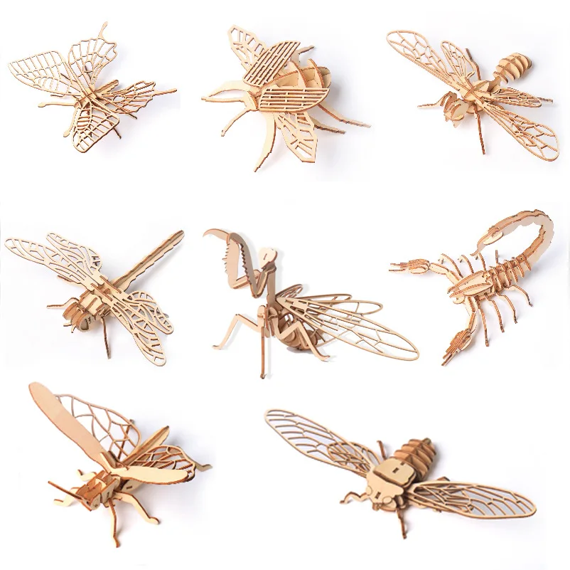 DIY 3D Wooden Insect Model